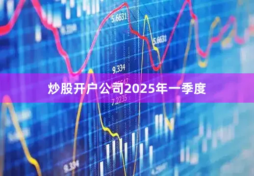 炒股开户公司　　2025年一季度