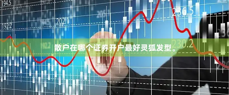 散户在哪个证券开户最好灵狐发型。