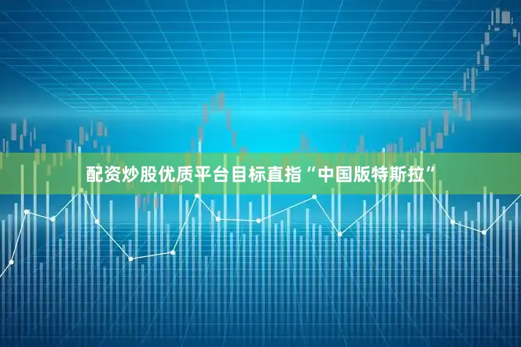 配资炒股优质平台目标直指“中国版特斯拉”