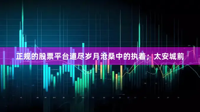 正规的股票平台道尽岁月沧桑中的执着；太安城前
