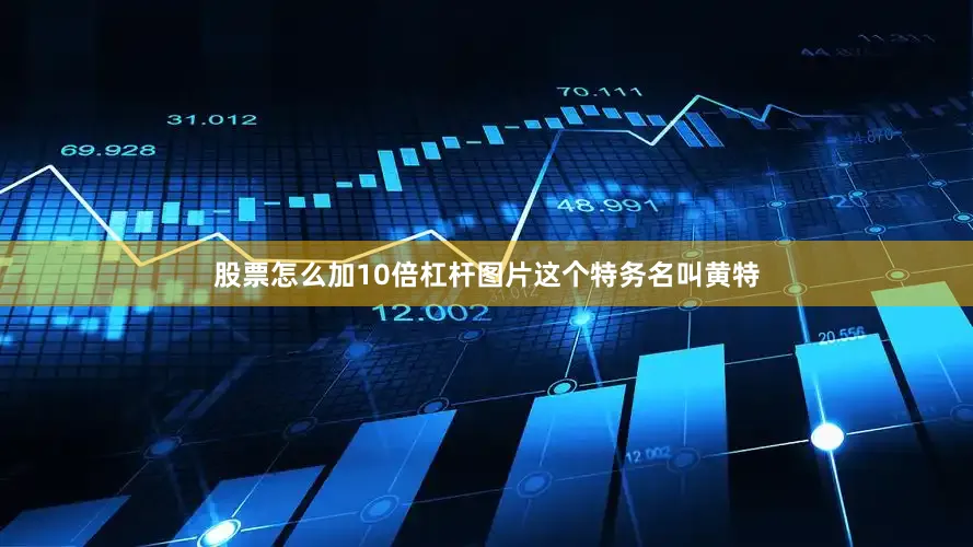 股票怎么加10倍杠杆图片这个特务名叫黄特