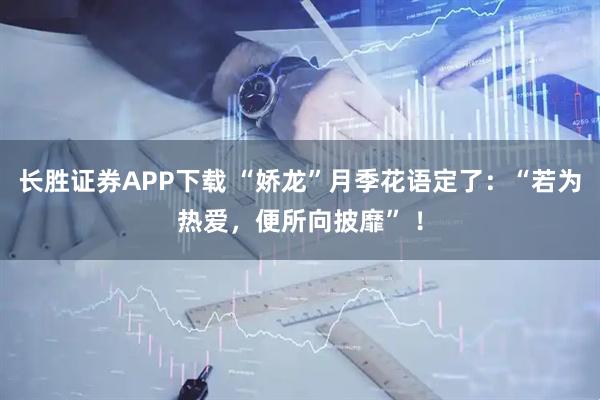 长胜证券APP下载 “娇龙”月季花语定了：“若为热爱，便所向披靡” ！